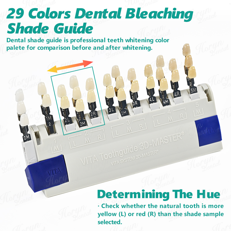 Vita 3D Master Dental Lab Blea - Teeth Whitening Lab review and price